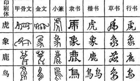 汉字7体大揭晓，从甲骨文到现在，汉字变化如此之大|甲骨文|汉字|金文_新浪新闻