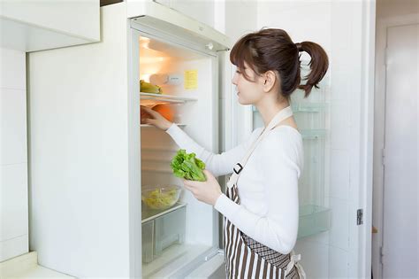 饺子皮放冰箱冷藏能保存多久-六六健康网