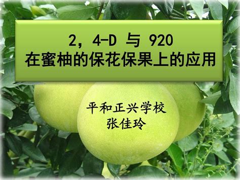 2,4-D与920在蜜柚的保花保果上的应用_word文档在线阅读与下载_文档网