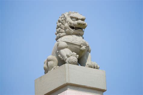 石狮子风水，门品摆放石狮子的讲究 - 中华风水网