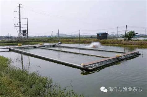 上海海洋大学河蟹绿色养殖创新团队赴崇明 开展现场调研和科技服务工作