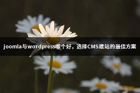 wordpress零基础建站(1)-建站如何选择域名和服务器 - 知乎