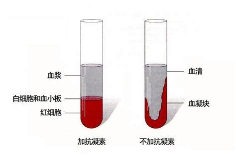 血浆和血清的区别以及在蛋白质组学测试中采集的注意点 - 上海维基生物科技有限公司