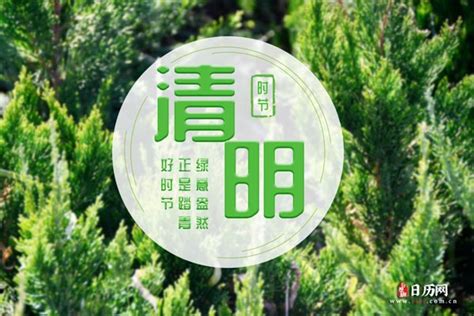 清明节是几月几日，每年的清明节是哪天 - 日历网