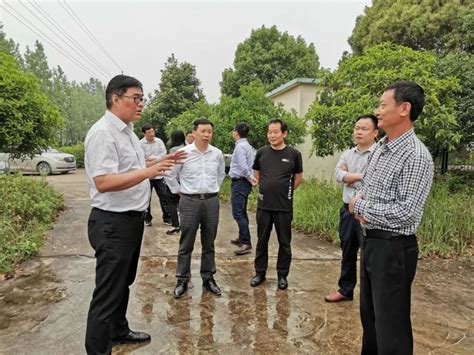 铜陵市副市长吴强督导枞阳县突出环境问题整改工作-国际环保在线
