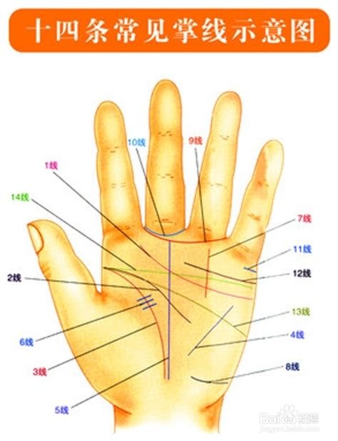 手掌穴位、掌纹、反射区、按摩图-百度经验