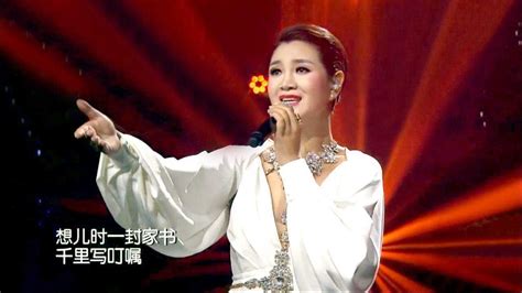 王二妮《一对对鸳鸯水上漂》记住经典-中国经典民歌100首音乐会