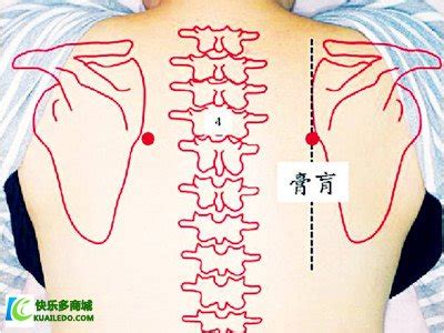 人体后背穴位图图片