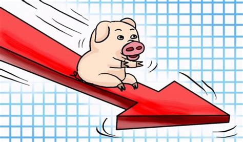 猪价波动频繁！国家发改委最新预警，准备卖猪的养殖户注意了！|生猪|育肥|猪价_新浪新闻