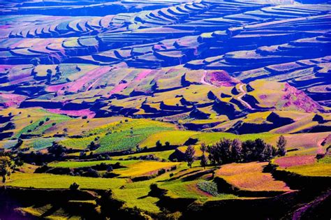 色彩斑斓|文章|中国国家地理网