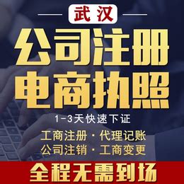 武汉电子商务公司注册个体户注册代理记账_公司注册、年检、变更_第一枪