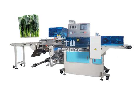 (品质好的,知名的,口碑好的)蔬菜包装机(厂,厂家,公司) -- 青岛丰业自动化设备有限公司