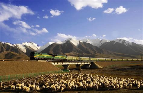 有机会，一定坐火车去西藏看看！_荔枝网新闻
