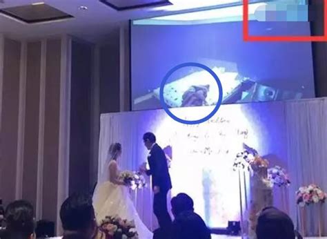 婚礼现场放出新娘出轨视频 福建新娘茄子竟然出轨自己的姐夫 - 品度娱乐