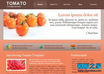 西红柿美食天下网站模板 - 代码库