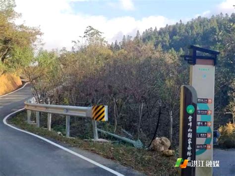洪江市雪峰山国家森林公园优化营商环境，行车舒适度提升，美景尽收眼底-中国网海峡频道