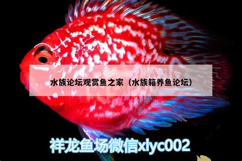 中国水族行业高峰论坛于CIPS广州宠物展期间成功举行-去展网