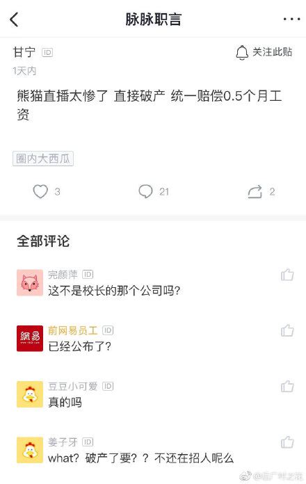 震惊！王思聪熊猫直播被曝破产怎么回事 事件背后真相揭秘_游戏花边_海峡网