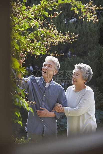 老夫少妻图片