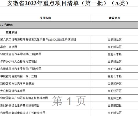 重大项目清单