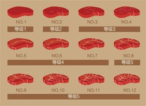 经典牛排美食海报模板素材-正版图片400171327-摄图网