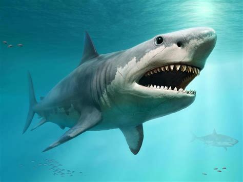 巨齿鲨哥斯拉,巨齿鲨vs哥斯拉,旋齿鲨vs巨齿鲨(第9页)_大山谷图库