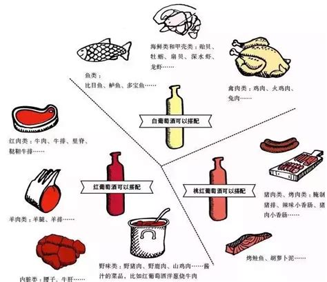 8个词教你搞懂红酒品鉴，让你在酒桌上成为葡萄酒专家！附全网最全的专业葡萄酒品鉴流程_葡萄酒_什么值得买