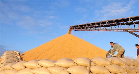 国家粮食和物资储备局：今年小麦有望实现“三增”|夏粮收购|粮食和物资储备局|安徽省_新浪新闻