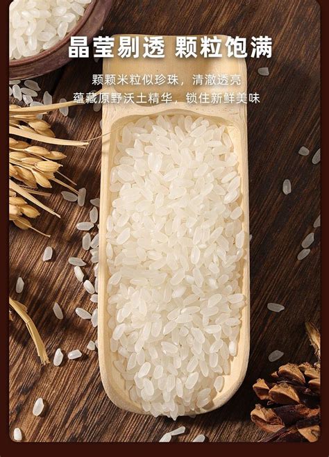 盒马内蒙古兴安盟大米长粒香米10斤装大米优质大米科尔沁草原