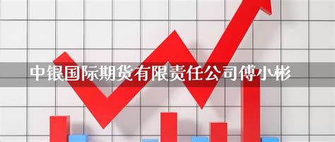 中银国际期货有限责任公司傅小彬 | 期货排行网