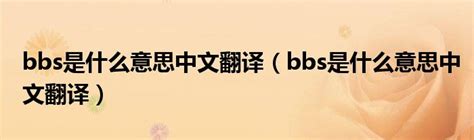 bbs是什么意思中文翻译（bbs是什么意思中文翻译）_红酒网