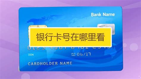 光大银行信用卡app如何查询完整卡号 光大银行信用卡app查询完整卡号方法_历趣