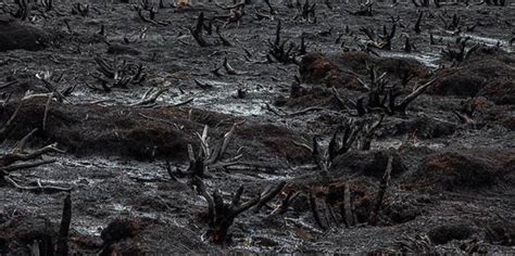 触目惊心的环境污染，25张照片让你深思人类灾难！-搜狐大视野-搜狐新闻