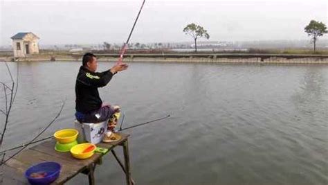 陪着地瓜去钓鱼上海浦东钓鲻鱼中 190409_腾讯视频