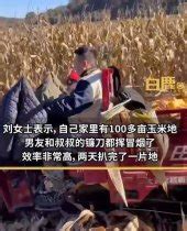 摘玉米卖玉米，师生“‘手’望幸福”行动为“残疾人之家”创收圆梦-温岭新闻网