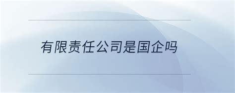 有限责任公司是国企吗_东奥会计在线【手机版】