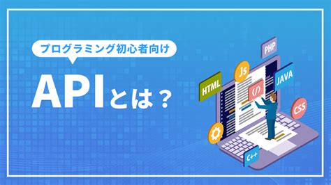 APIとは？プログラミング初心者向けに詳しく解説|SEOコンサルティングの専門会社 東京SEOメーカー