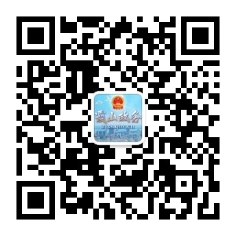 霞山区人民政府网站