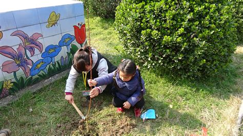珍爱绿色 从我做起——南渡中心幼儿园中班组开展植树节系列活动