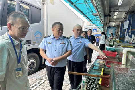 深圳市市场监管局罗湖局开展对罗芳水产市场进行进口水产品专项检查--部门动态