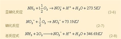 研究不同溶解氧浓度下短程硝化过程N2O产生途径