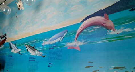 打卡“广西最美海上公路”，看最萌的白海豚