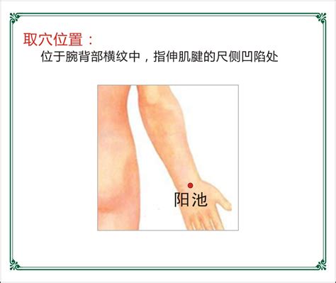 劳宫的准确位置图图片