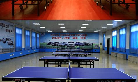 DHS/红双喜乒乓球台T1223高级单折移动式球台乒乓球桌球台-上海而 ...