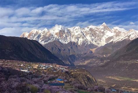 年旅行超3千万人次,被称为“西藏小江南”的林芝,究竟有多美?