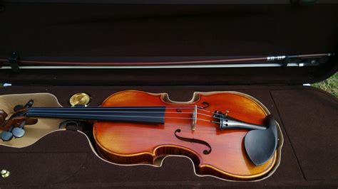 初学小提琴者也有必要买把好点的小提琴 - 知乎