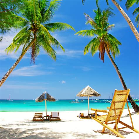 海滩度假风景图片-蓝天下的椰子树素材-高清图片-摄影照片-寻图免费打包下载