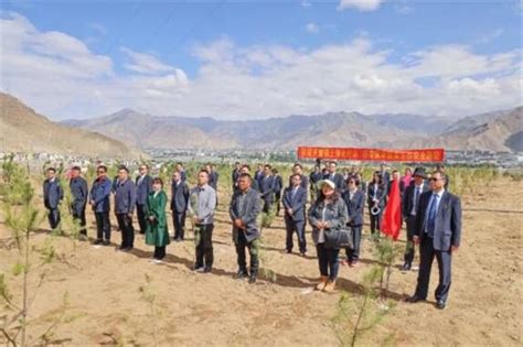 西藏银行举行拉萨南北山绿化工程“青山贷”首创首推仪式 - 国内 - 中国网•东海资讯