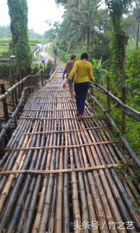 全球最佳创意竹桥盘点，最后一座桥的设计，佩服！|竹桥|刚果共和国|桑卡拉_新浪新闻