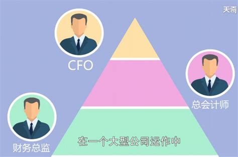 CFO是什么职位 - 天奇生活